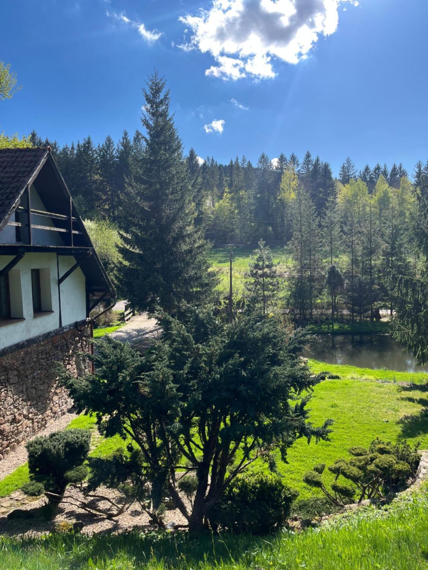 Villa Gorna79 *